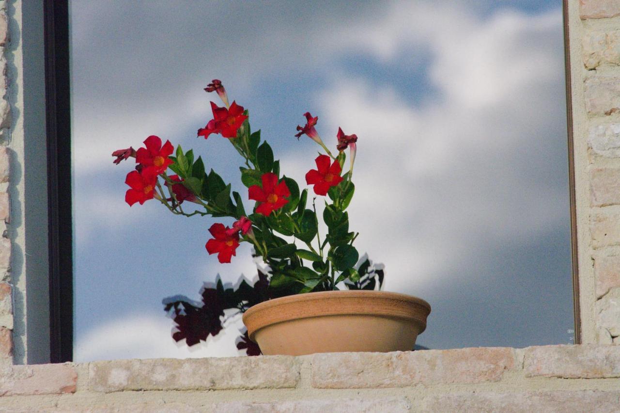 Casale Dei Cinque Colli Villa Ostra Kültér fotó