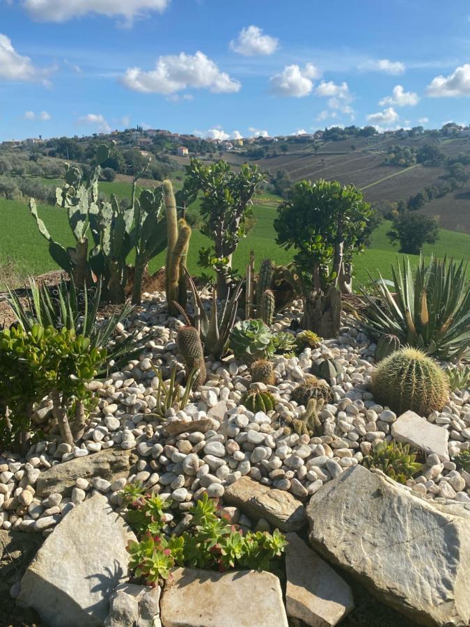 Casale Dei Cinque Colli Villa Ostra Kültér fotó